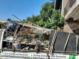 Best Same-Day Junk Removal Services  in Lisbon, IA