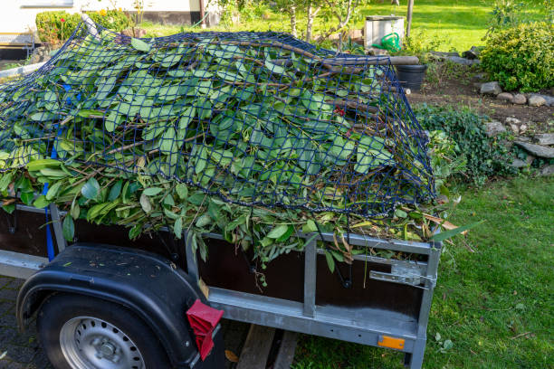 Best Shed Removal  in Lisbon, IA